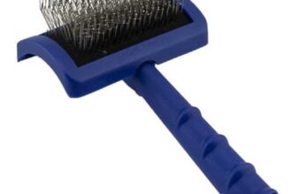 Le migliori 5 Spazzole Slicker per Gatti