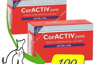 I Migliori 5 Integratori per Cani Cardiopatici