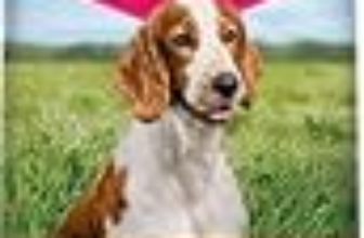 I Migliori 8 Cibi Secchi per Cani Anziani Senza Cereali