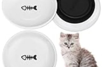 Le Migliori 7 Ciotole in Ceramica Antiscivolo per Gatti