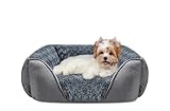 Le Migliori 6 Cucce in Tessuto Traspirante per Cani Piccoli