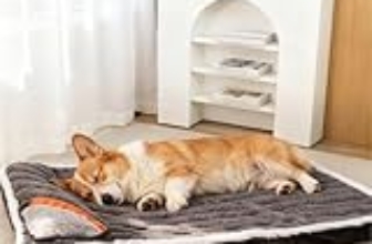 Le Migliori 6 Cucce per Cani Anziani e Morbide