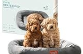 Le Migliori 8 Cucce Riscaldate per Cani Anziani