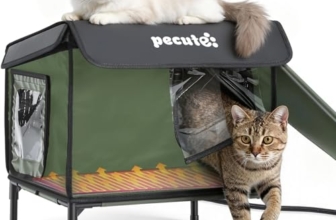 Le Migliori 6 Cucce Riscaldate per Gatti