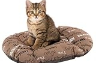 I Migliori 5 Cuscini per Gatti