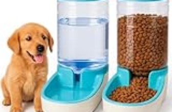 I Migliori 6 Dispenser Automatici di Cibo per Gatti