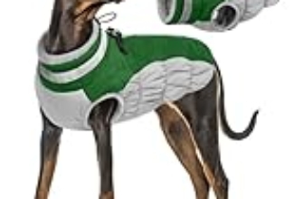 Le Migliori 8 Giacche Termiche per Cani di Taglia Grande