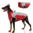 Le Migliori 7 Collari Waterproof per Cani di Taglia Piccola