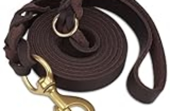 Le Migliori 7 Guinzagli in Pelle per Cani di Taglia Media