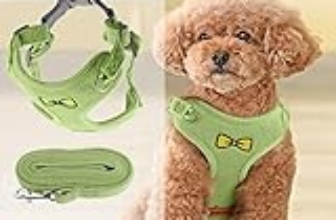 Le Migliori 6 Guinzagli Riflettenti per Cani di Taglia Piccola