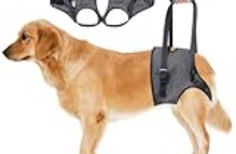 Le Migliori 6 Pettorine per Cani Anziani di Taglia Piccola
