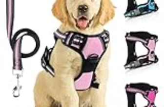 Le Migliori 6 Pettorine Regolabili per Cani di Taglia Media