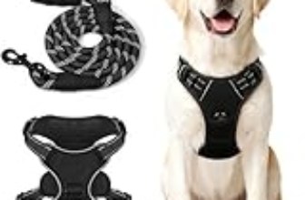 Le Migliori 8 Pettorine Sportive per Cani di Taglia Media