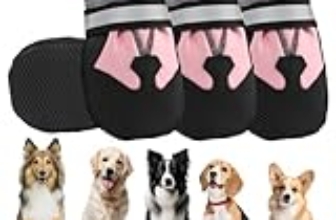 Le Migliori 7 Scarpe Antiscivolo per Cani di Taglia Grande