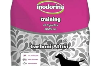 I migliori 5 Tappetini Igienici Antiscivolo per Cani